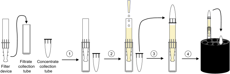 Figure 1