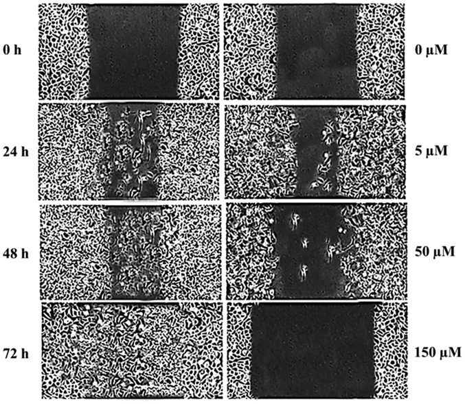 Figure 5.