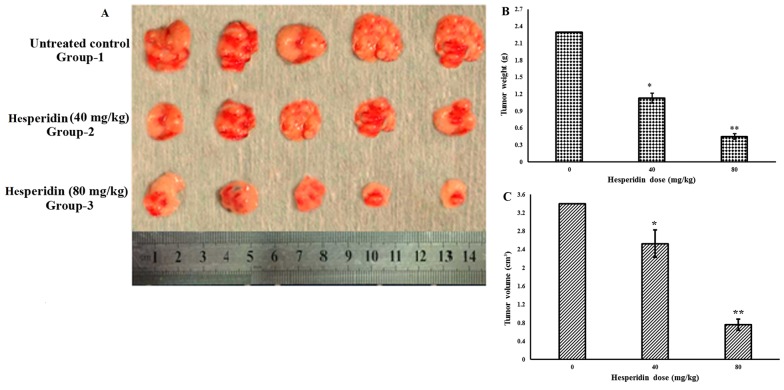 Figure 9.