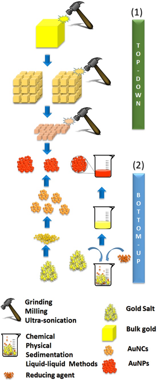 Fig. 1