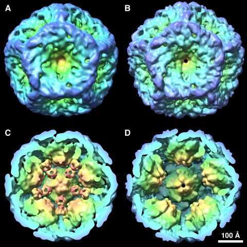 FIGURE 2.