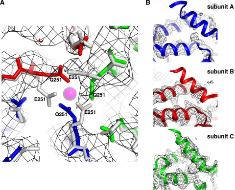 FIG. 7.