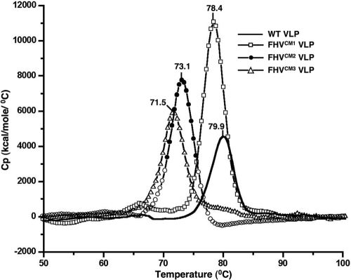 FIG. 3.