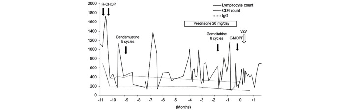 Figure 1.