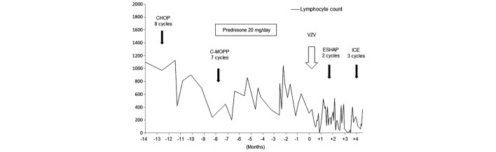 Figure 2.