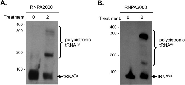 FIG 6