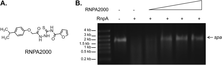 FIG 1