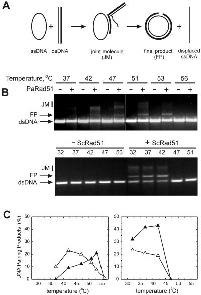 FIG. 7.