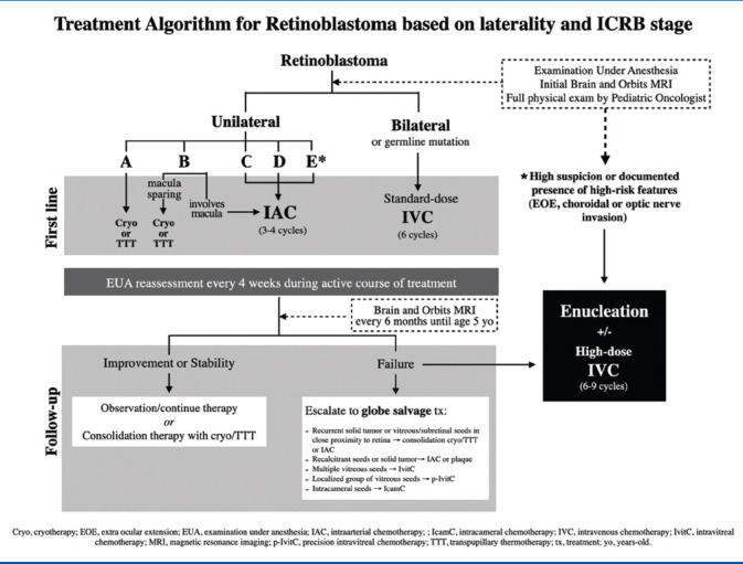 graphic file with name IJO-68-2356-g001.jpg