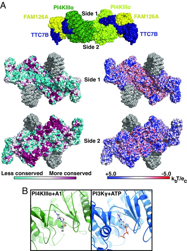 Fig. 4.