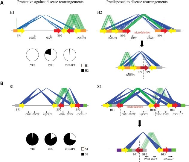 Figure 2.