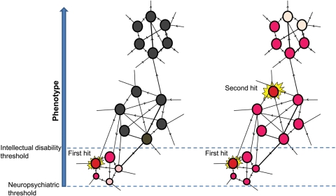 Figure 4.