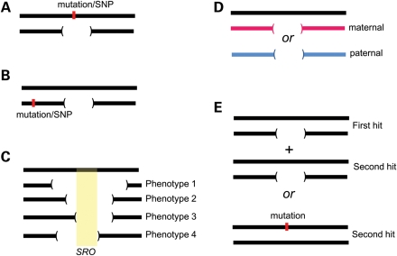 Figure 3.