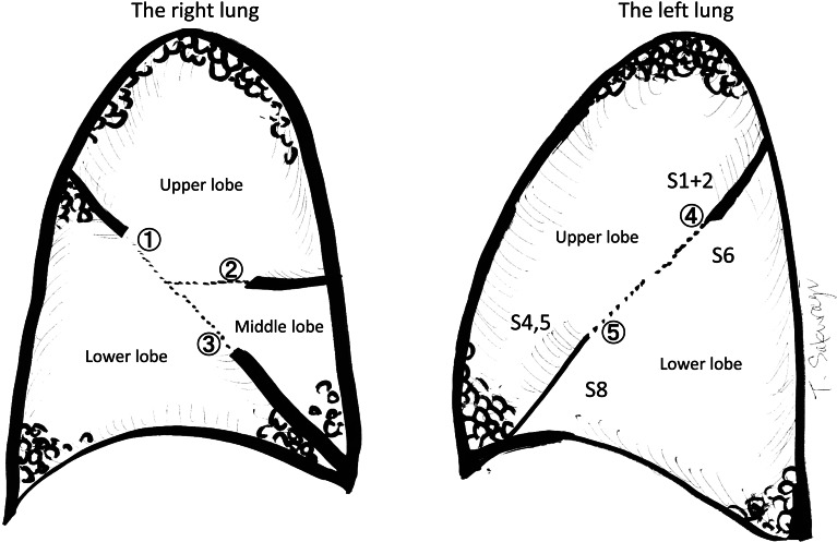 Figure 1: