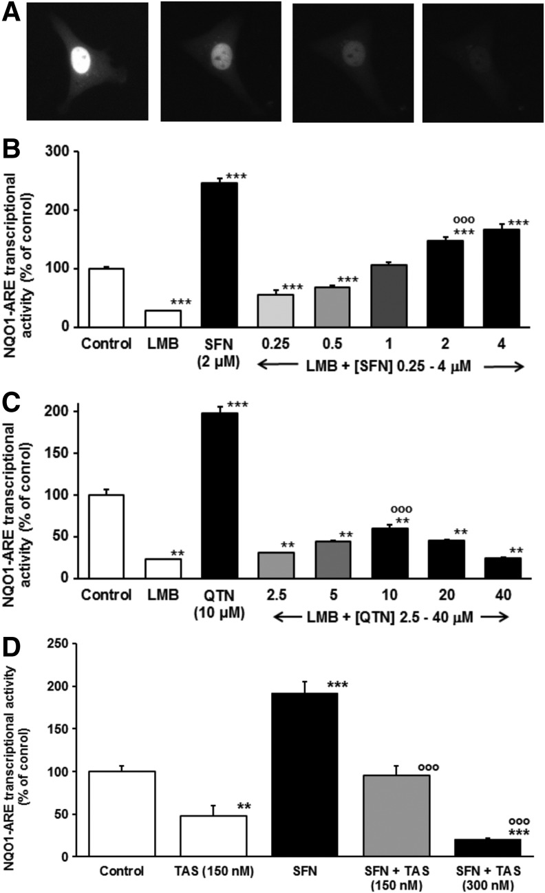 FIG. 7.