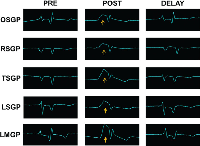 Figure 3: