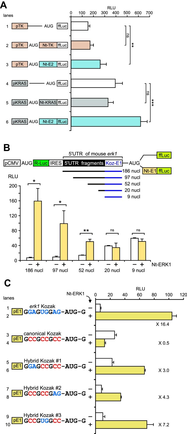 Figure 5.