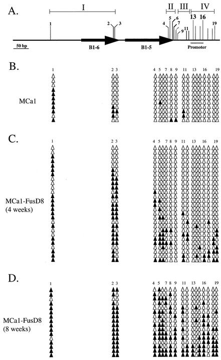 FIG. 5.