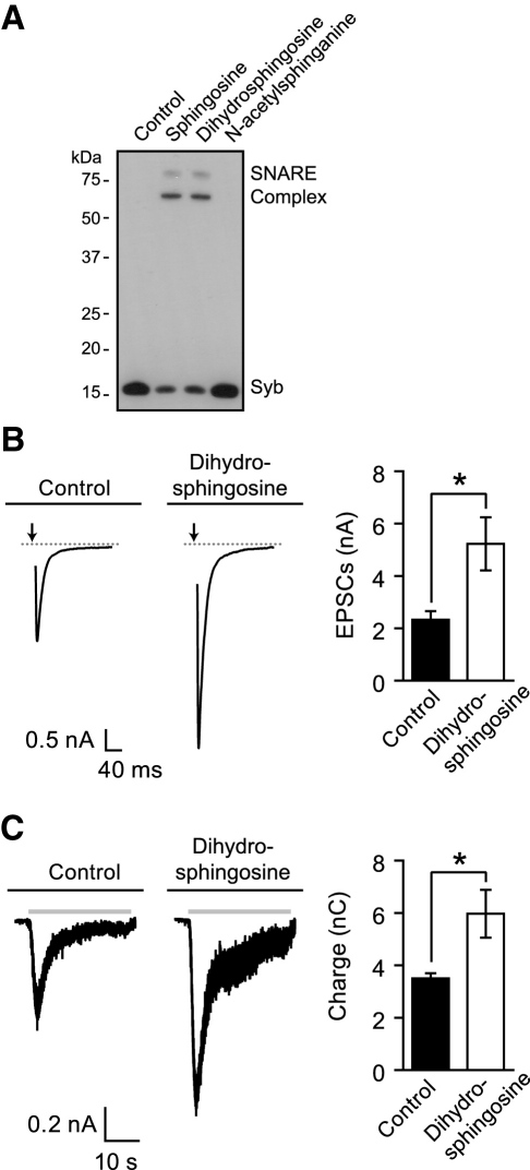 Figure 6