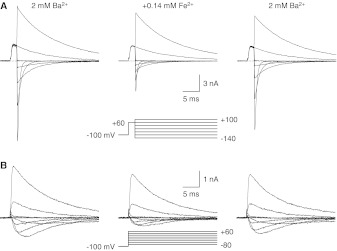 Fig. 4.