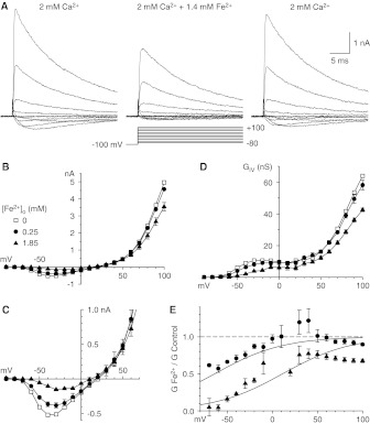 Fig. 2.