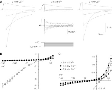 Fig. 6.