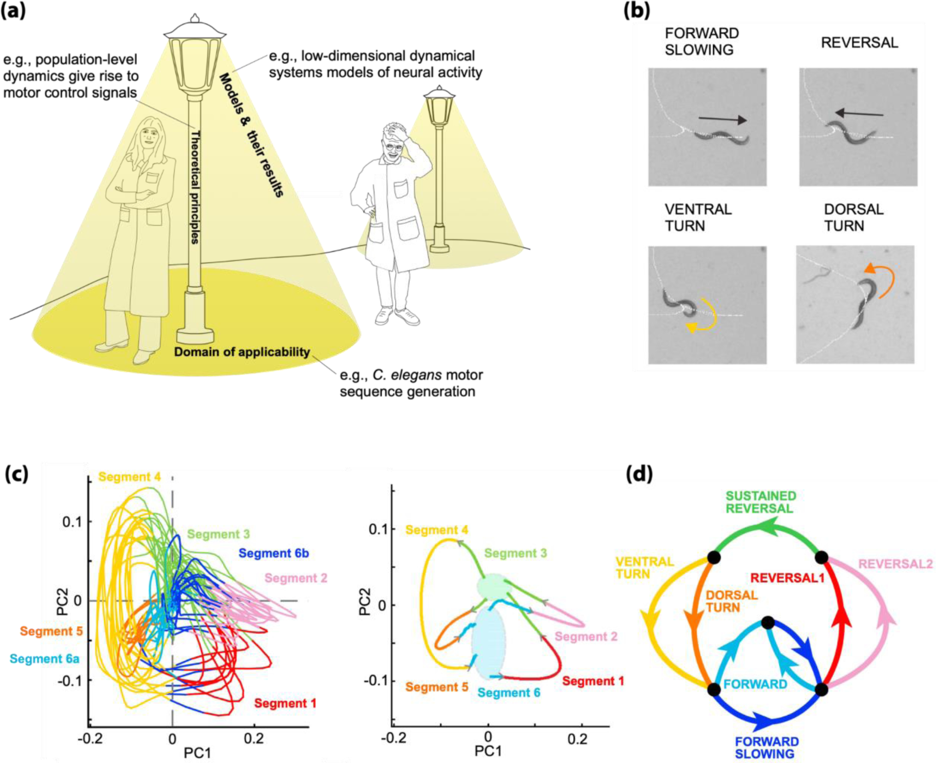 Figure 1: