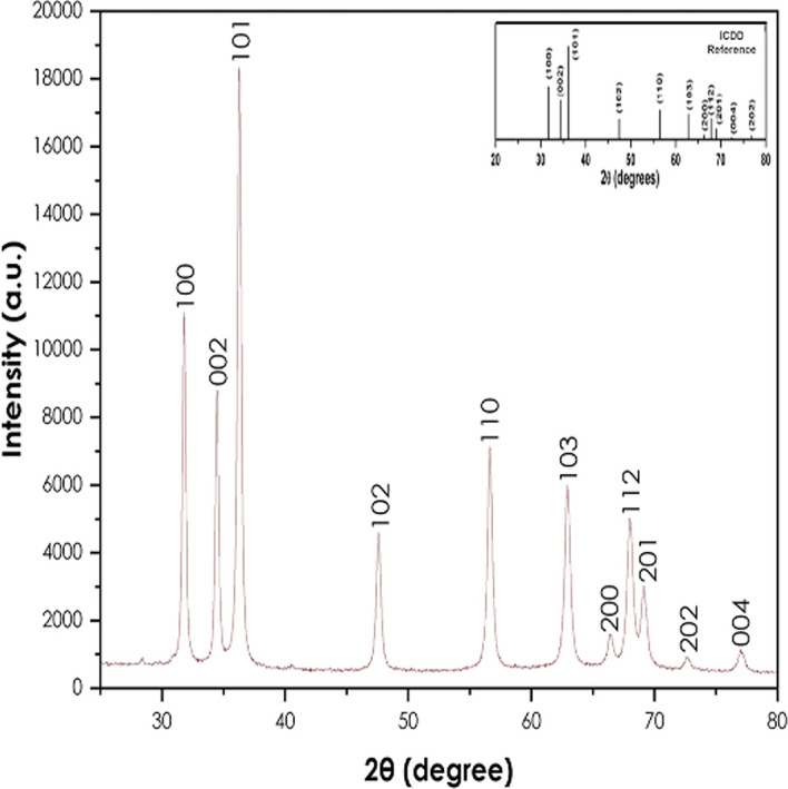 Figure 4. 