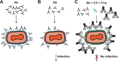 FIG. 10.