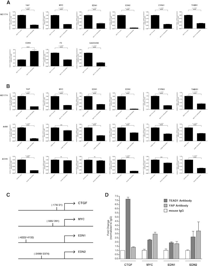 Figure 5