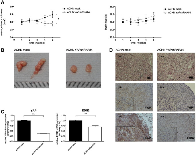 Figure 6