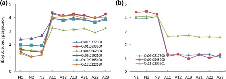 Fig. 7