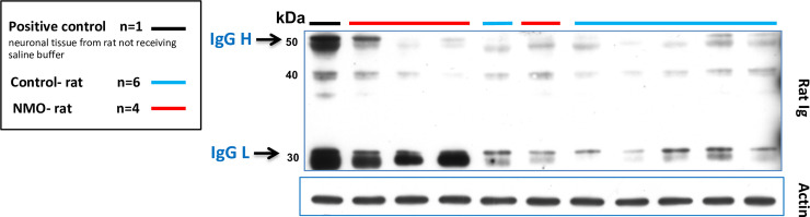 Fig 5