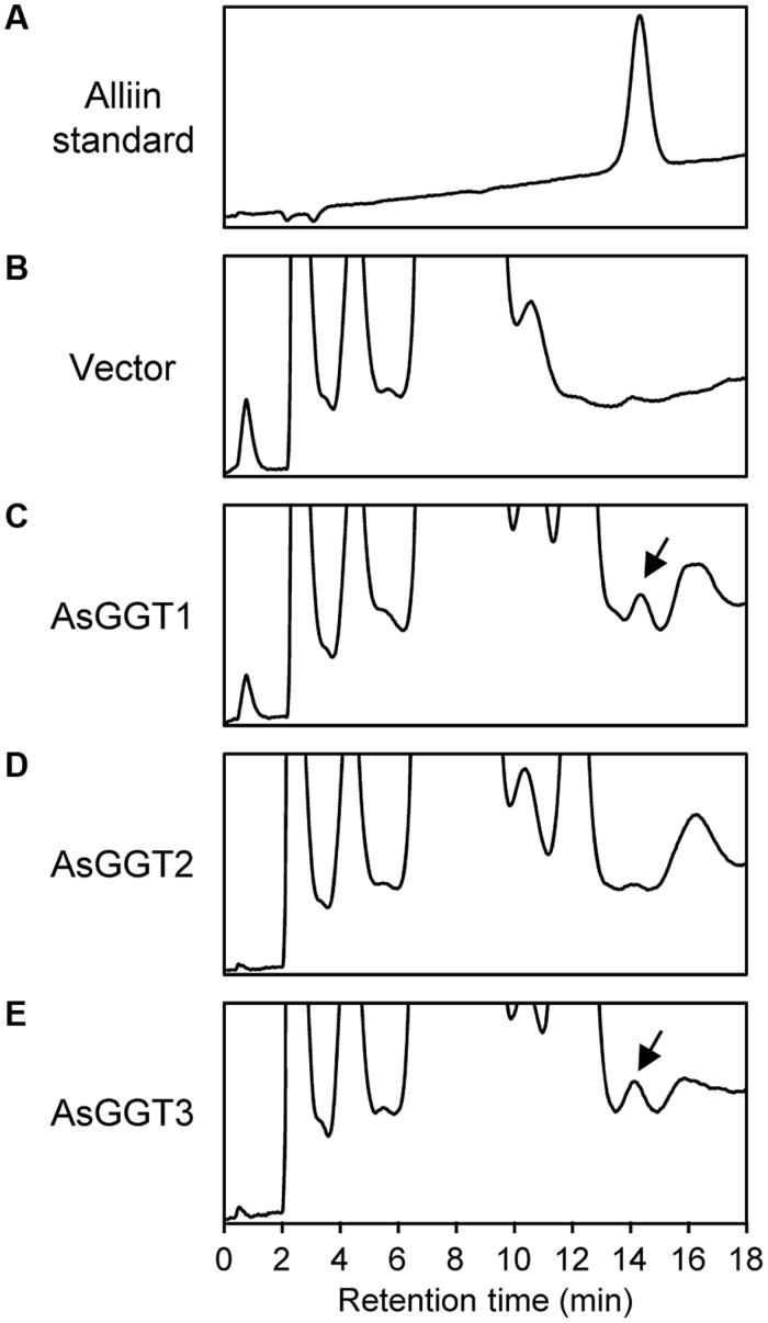 FIGURE 4