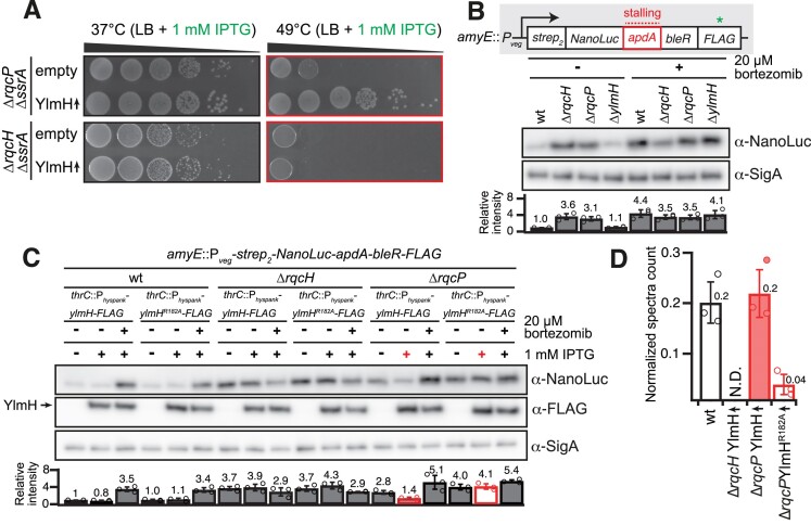 Figure 4.