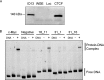FIG 1