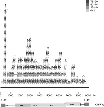 Fig 6