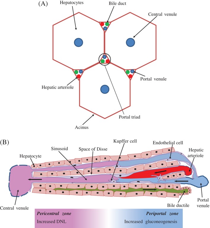 BRV-12178-FIG-0003-c