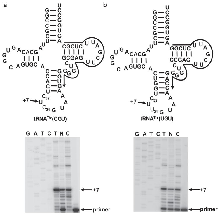 Extended Data Figure 3