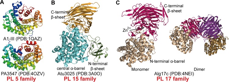 FIG 2