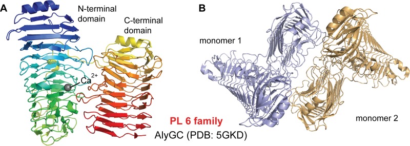 FIG 3