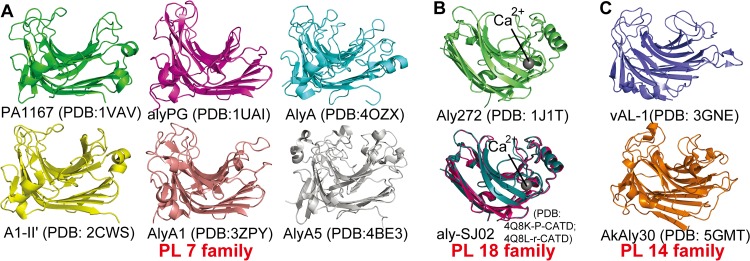 FIG 1