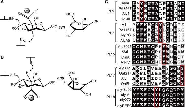 FIG 6