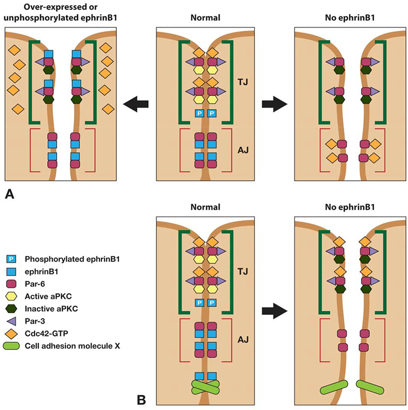 Figure 7.