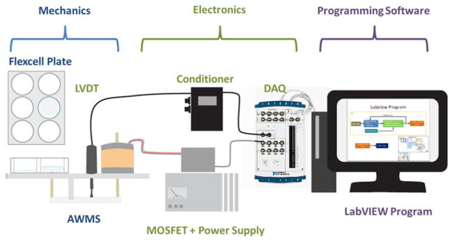 FIGURE 2