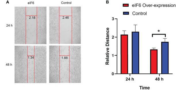 Figure 4