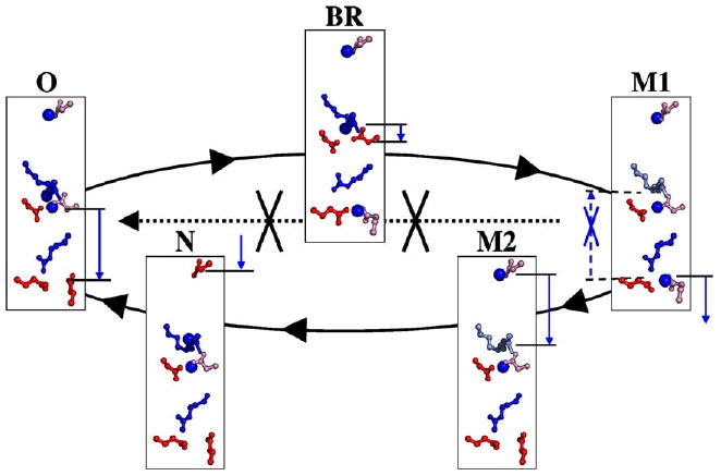 Fig. 4