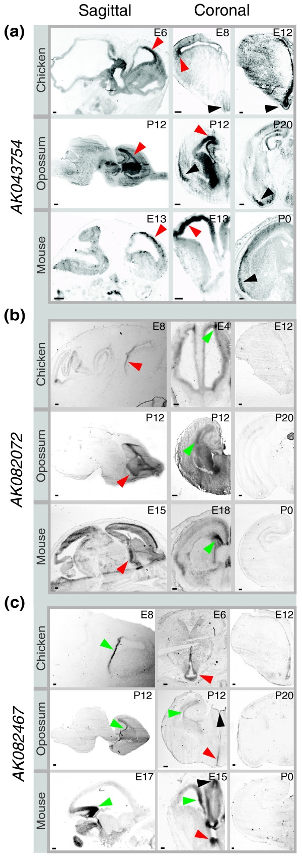 Figure 6