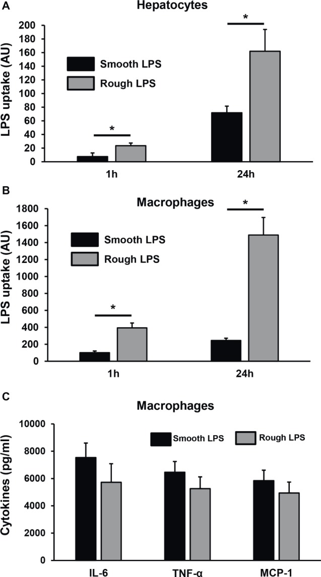 Figure 11