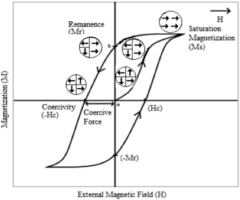 Fig. 1